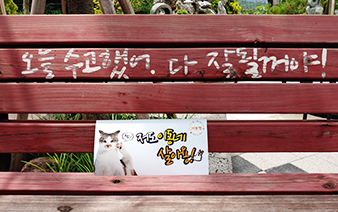 동물권 활동